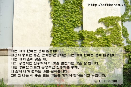 Eft 행복을 부르는 오늘의 확언 167 마음의 돋보기 원하는 것에 집중하기 긍정적인 사고 키우기 다이룸한의원