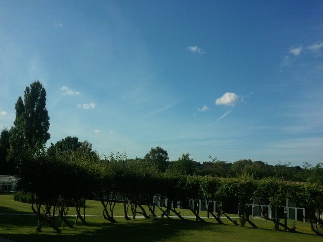 2011-07-23 17.25.15.jpg