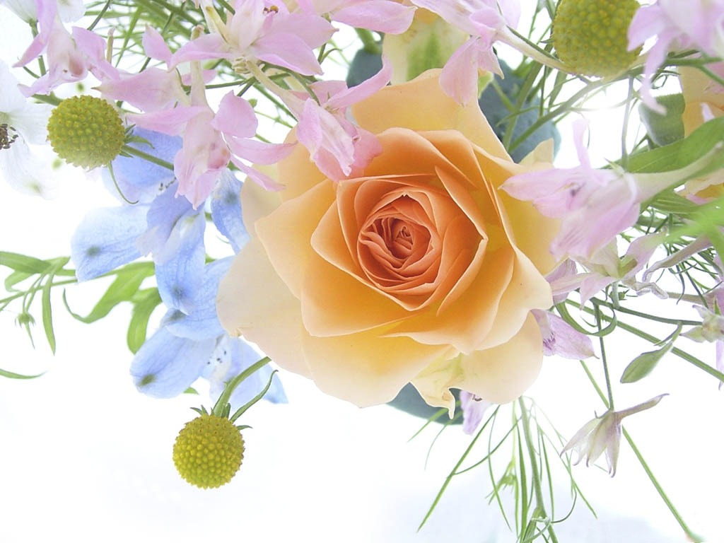 stockvault-spring-bouquet-with-a-rose116762.jpg