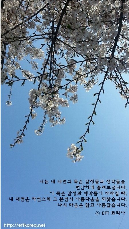 2013-04-22 11;46;11.jpg